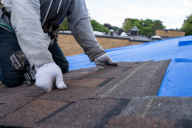 Best Roof Gutter Cleaning  in Reading, MI