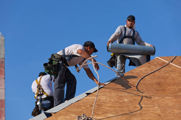 Best Roof Maintenance Services  in Reading, MI