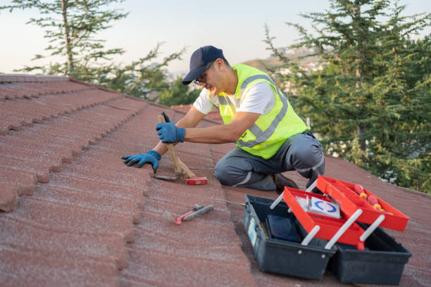 Best Roof Repair Services  in Reading, MI