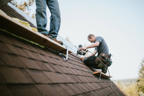 Best Flat Roof Repair Services  in Reading, MI