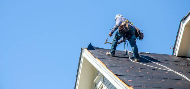 Best Metal Roofing Contractor  in Reading, MI